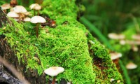 世界体能恢复设备标准化试验：多家厂家参与兼容性测试，世界体能大赛