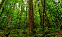 世界体能恢复科研样本库对接更多省级医疗机构，世界体能比赛