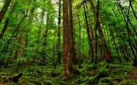 世界体能恢复科研样本库对接更多省级医疗机构，世界体能比赛